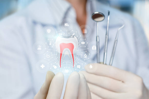 Professional Dental Services in Wakefield, KS